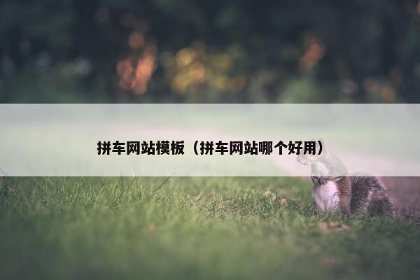 拼车网站模板（拼车网站哪个好用）