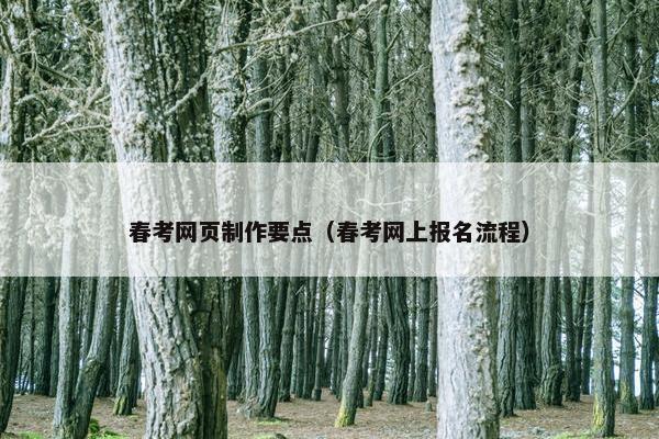 春考网页制作要点（春考网上报名流程）