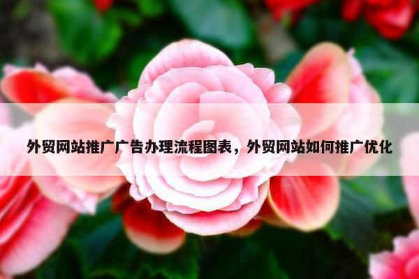 外贸网站推广广告办理流程图表，外贸网站如何推广优化