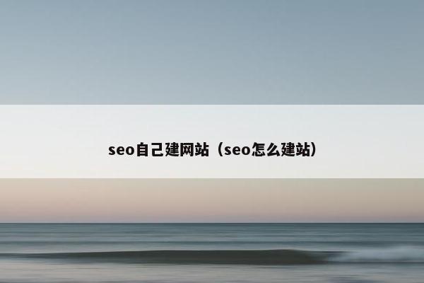 seo自己建网站（seo怎么建站）