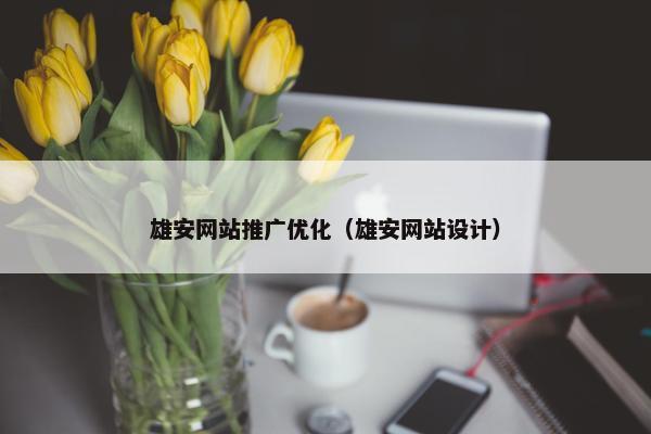 雄安网站推广优化（雄安网站设计）