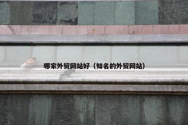 哪家外贸网站好（知名的外贸网站）