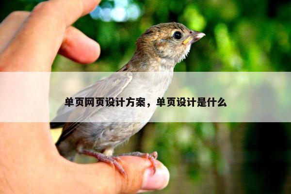 单页网页设计方案，单页设计是什么