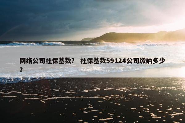网络公司社保基数？ 社保基数59124公司缴纳多少？