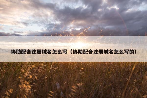 协助配合注册域名怎么写（协助配合注册域名怎么写的）
