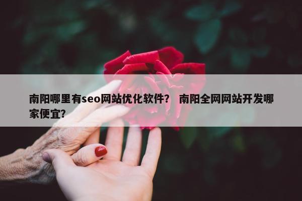 南阳哪里有seo网站优化软件？ 南阳全网网站开发哪家便宜？
