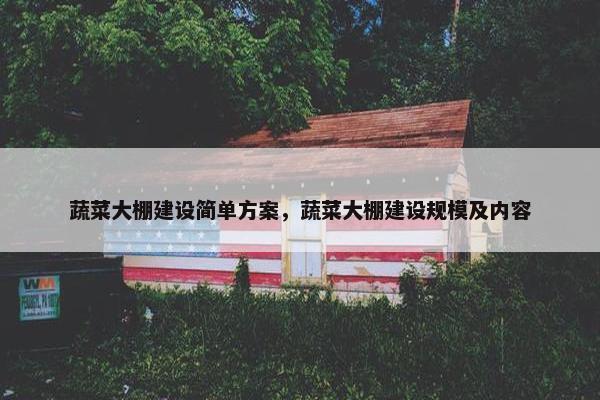 蔬菜大棚建设简单方案，蔬菜大棚建设规模及内容