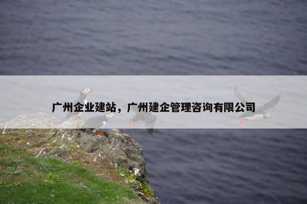 广州企业建站，广州建企管理咨询有限公司