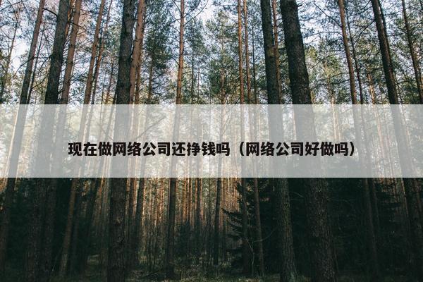 现在做网络公司还挣钱吗（网络公司好做吗）