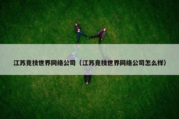 江苏竞技世界网络公司（江苏竞技世界网络公司怎么样）