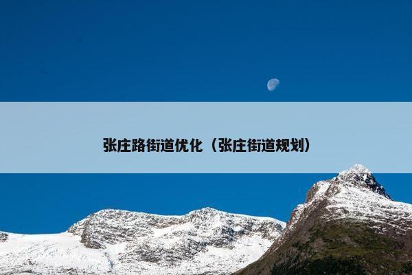 张庄路街道优化（张庄街道规划）