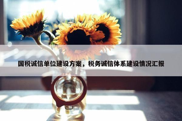 国税诚信单位建设方案，税务诚信体系建设情况汇报