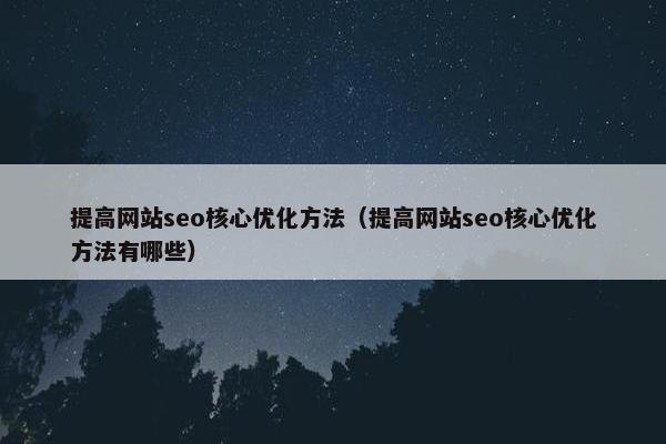 提高网站seo核心优化方法（提高网站seo核心优化方法有哪些）
