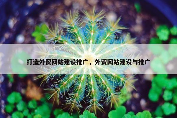 打造外贸网站建设推广，外贸网站建设与推广