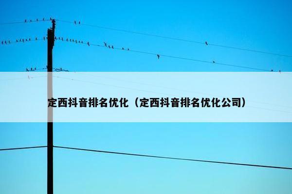 定西抖音排名优化（定西抖音排名优化公司）