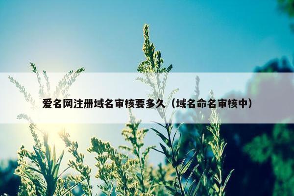 爱名网注册域名审核要多久（域名命名审核中）