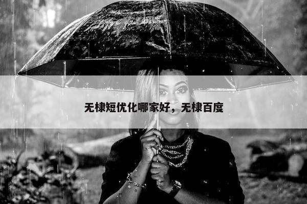 无棣短优化哪家好，无棣百度
