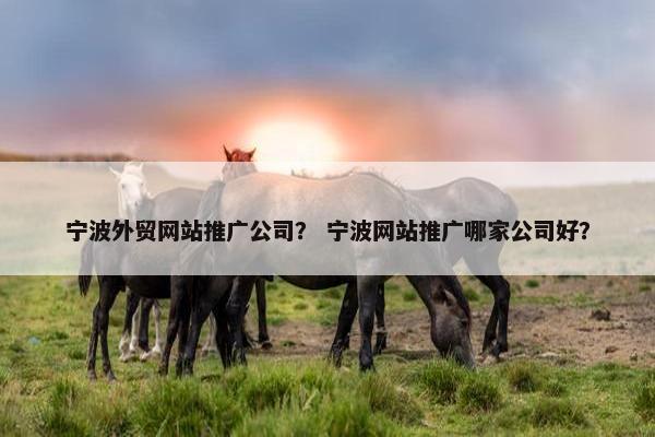 宁波外贸网站推广公司？ 宁波网站推广哪家公司好？