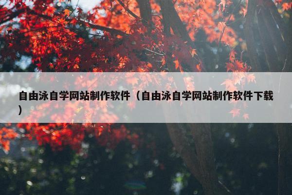 自由泳自学网站制作软件（自由泳自学网站制作软件下载）