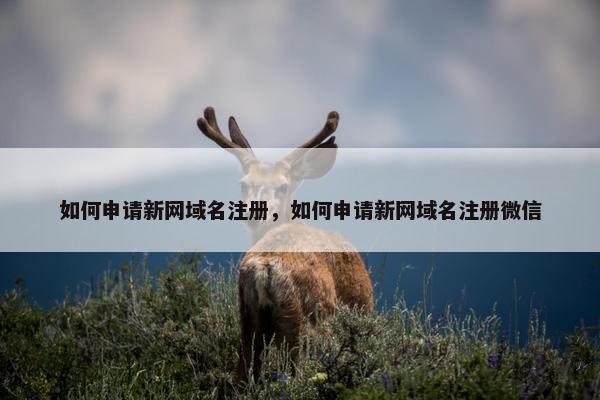 如何申请新网域名注册，如何申请新网域名注册微信