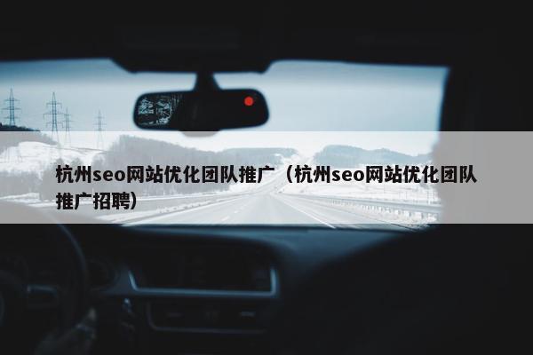 杭州seo网站优化团队推广（杭州seo网站优化团队推广招聘）