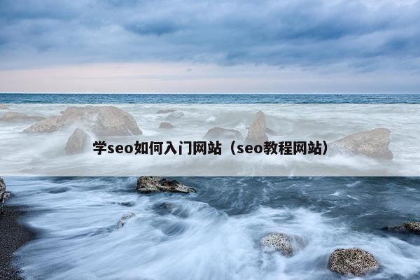 学seo如何入门网站（seo教程网站）