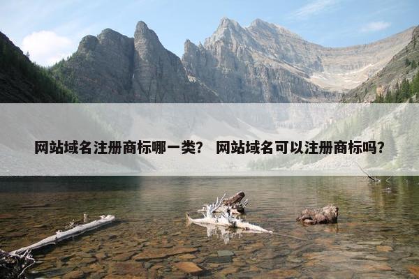 网站域名注册商标哪一类？ 网站域名可以注册商标吗？