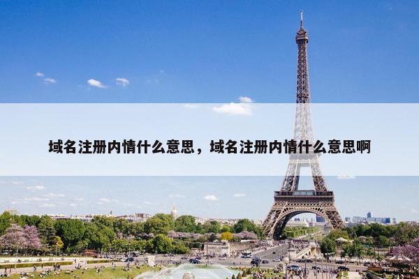 域名注册内情什么意思，域名注册内情什么意思啊