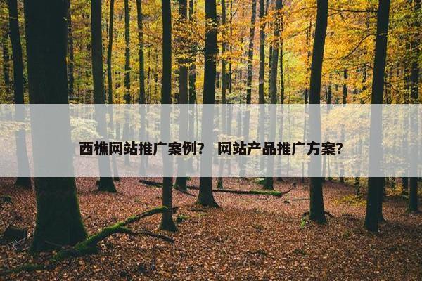 西樵网站推广案例？ 网站产品推广方案？
