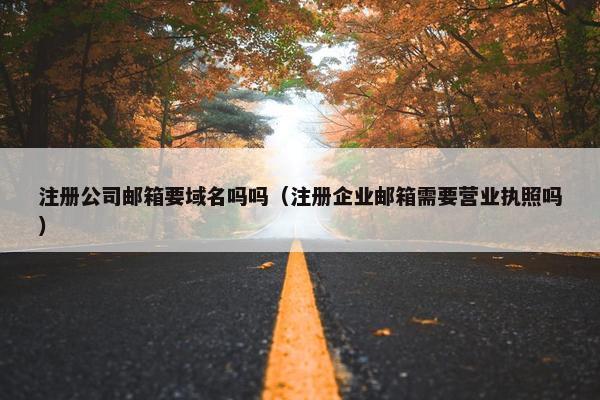 注册公司邮箱要域名吗吗（注册企业邮箱需要营业执照吗）