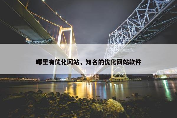哪里有优化网站，知名的优化网站软件