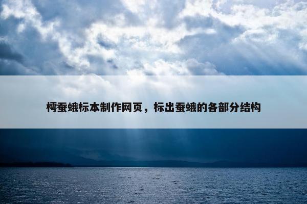 樗蚕蛾标本制作网页，标出蚕蛾的各部分结构