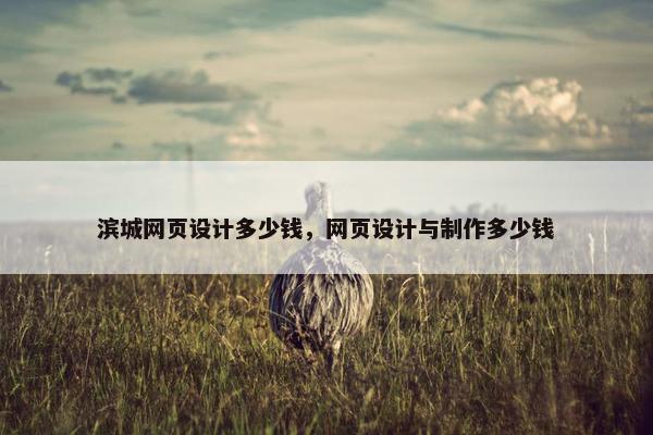 滨城网页设计多少钱，网页设计与制作多少钱