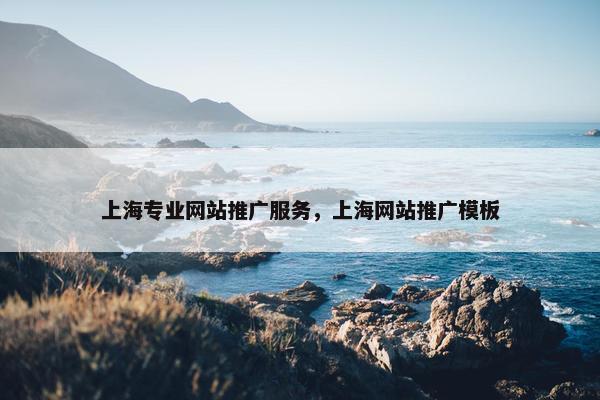 上海专业网站推广服务，上海网站推广模板