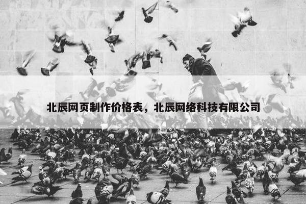 北辰网页制作价格表，北辰网络科技有限公司