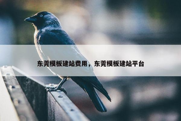 东莞模板建站费用，东莞模板建站平台