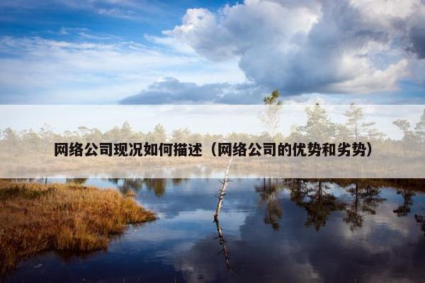 网络公司现况如何描述（网络公司的优势和劣势）