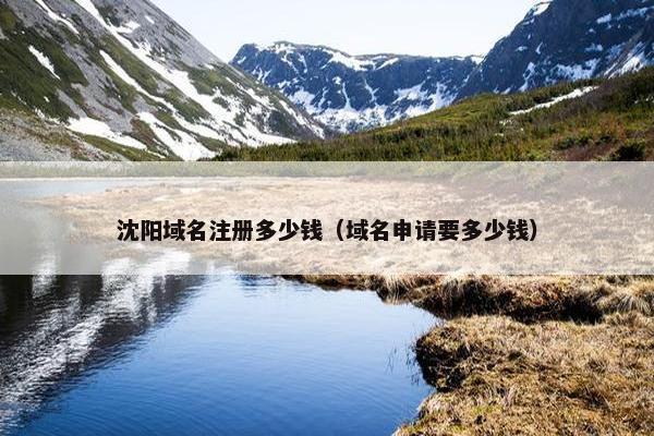 沈阳域名注册多少钱（域名申请要多少钱）