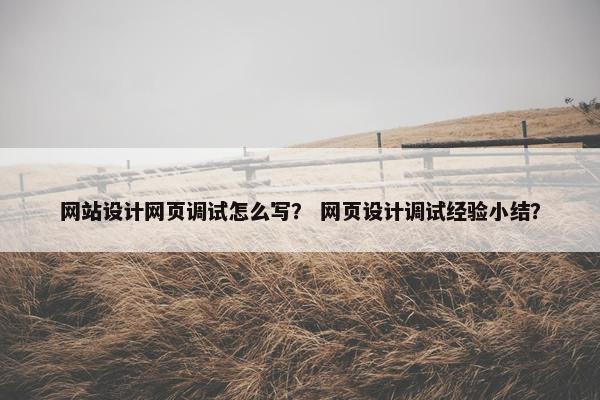 网站设计网页调试怎么写？ 网页设计调试经验小结？