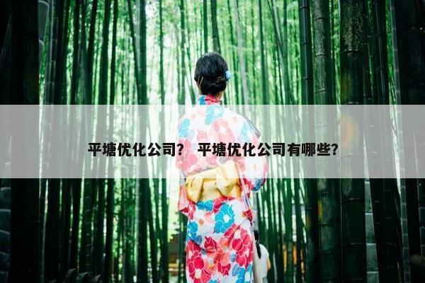 平塘优化公司？ 平塘优化公司有哪些？