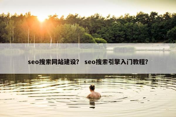 seo搜索网站建设？ seo搜索引擎入门教程？