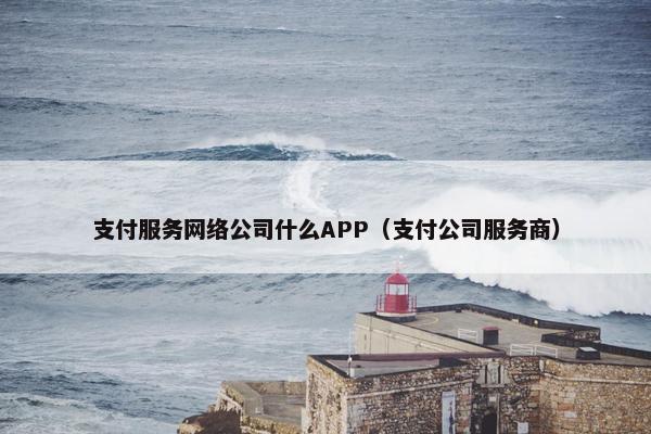 支付服务网络公司什么APP（支付公司服务商）