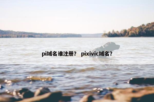 pi域名谁注册？ pixivic域名？