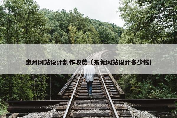 惠州网站设计制作收费（东莞网站设计多少钱）