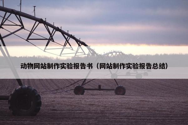 动物网站制作实验报告书（网站制作实验报告总结）