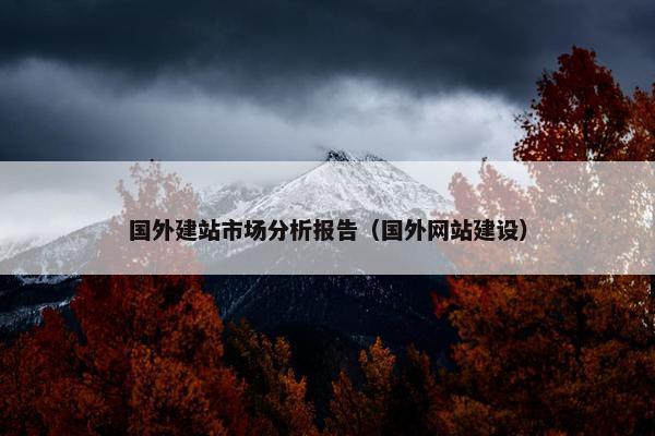 国外建站市场分析报告（国外网站建设）
