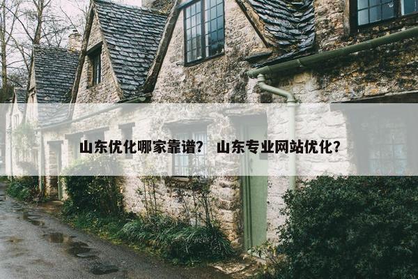 山东优化哪家靠谱？ 山东专业网站优化？