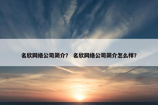 名欣网络公司简介？ 名欣网络公司简介怎么样？