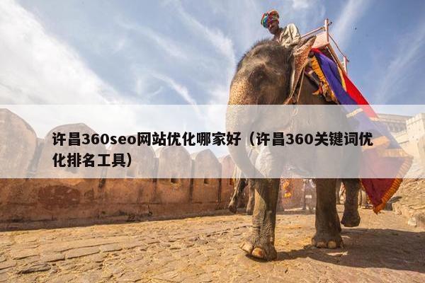 许昌360seo网站优化哪家好（许昌360关键词优化排名工具）