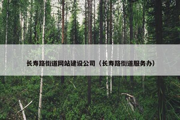 长寿路街道网站建设公司（长寿路街道服务办）